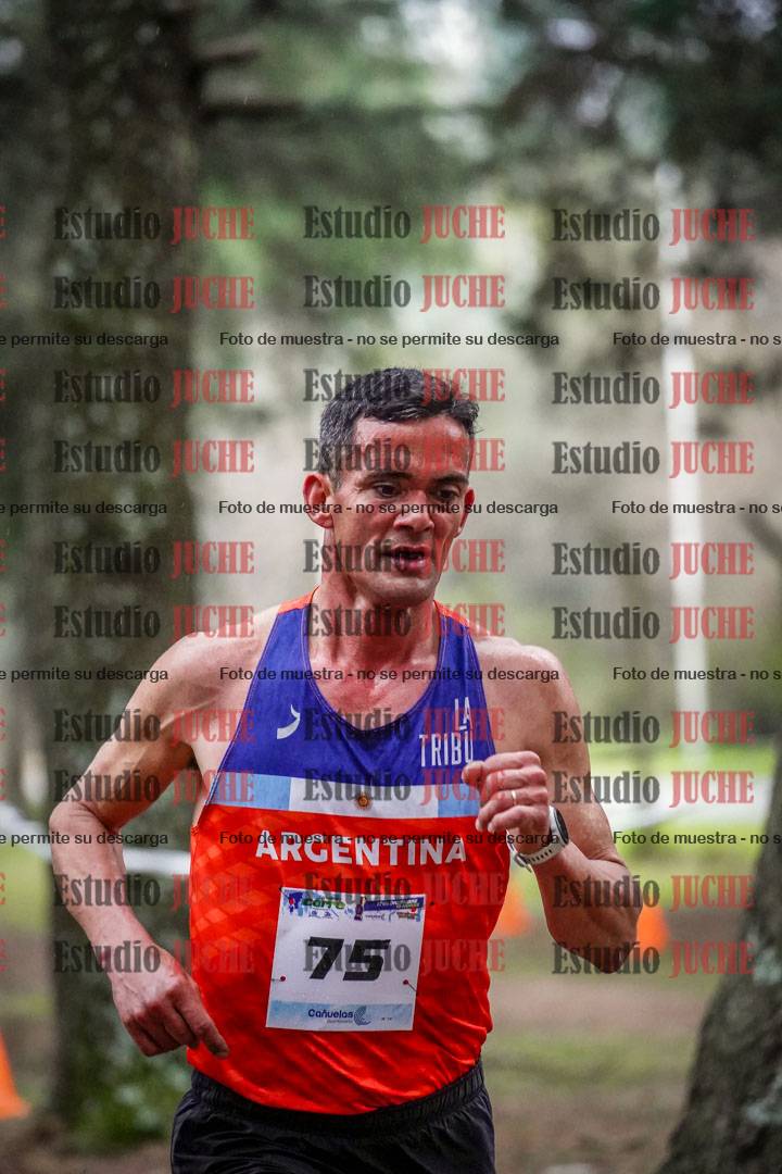 Fotos en el circuito