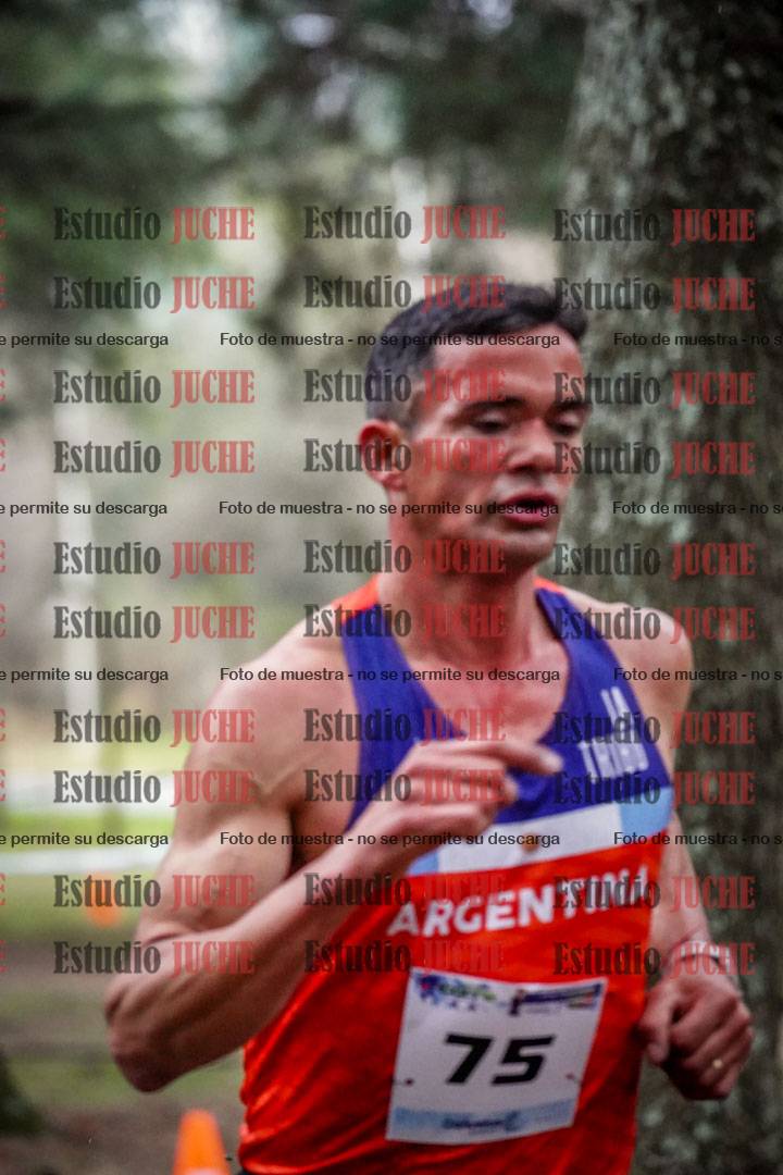Fotos en el circuito