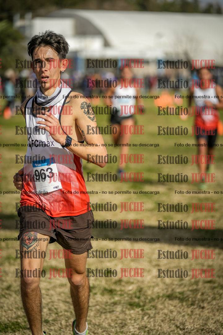 Fotos de las llegadas