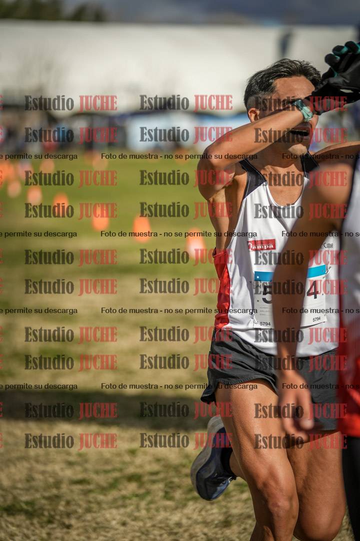 Fotos de las llegadas