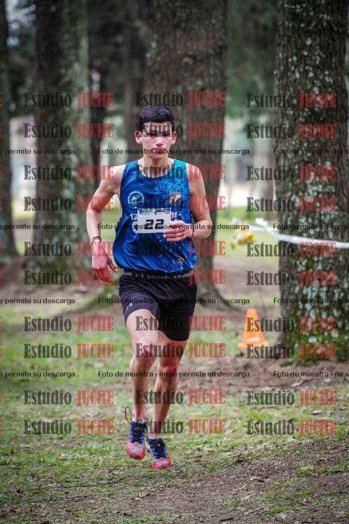 Fotos en el circuito