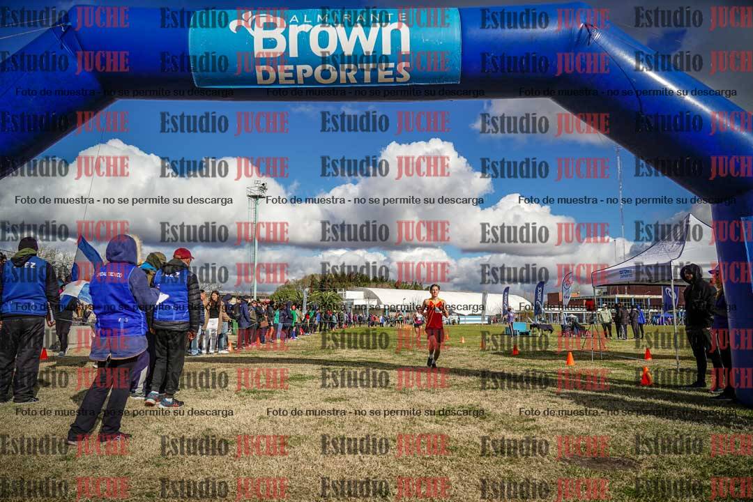 Fotos de las llegadas