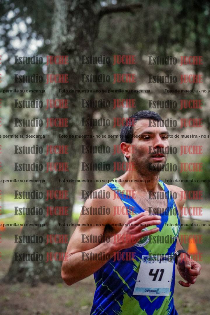 Fotos en el circuito