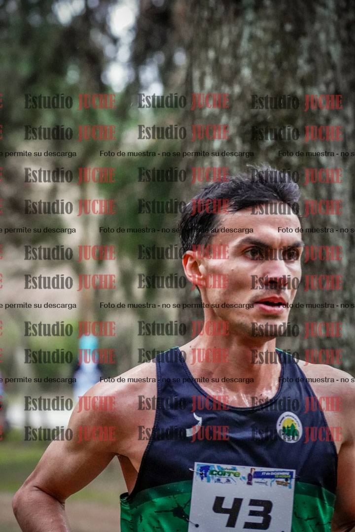 Fotos en el circuito
