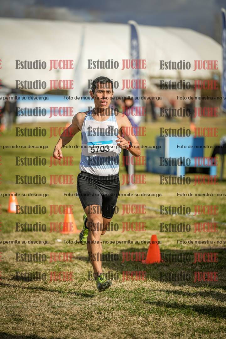 Fotos de las llegadas