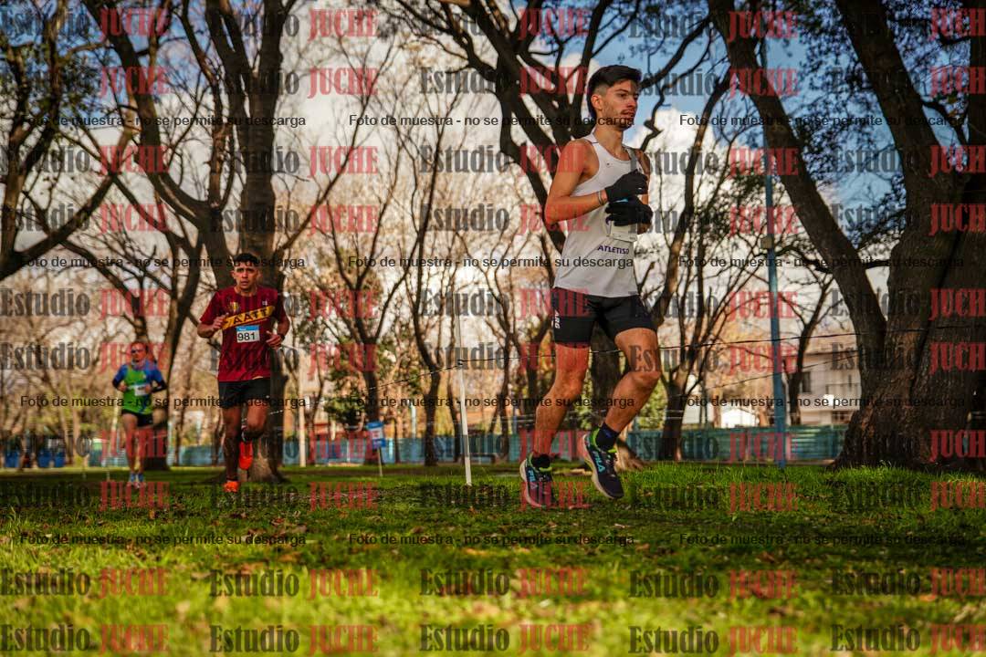 Fotos en el circuito