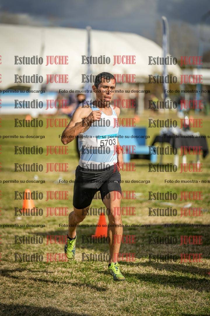 Fotos de las llegadas