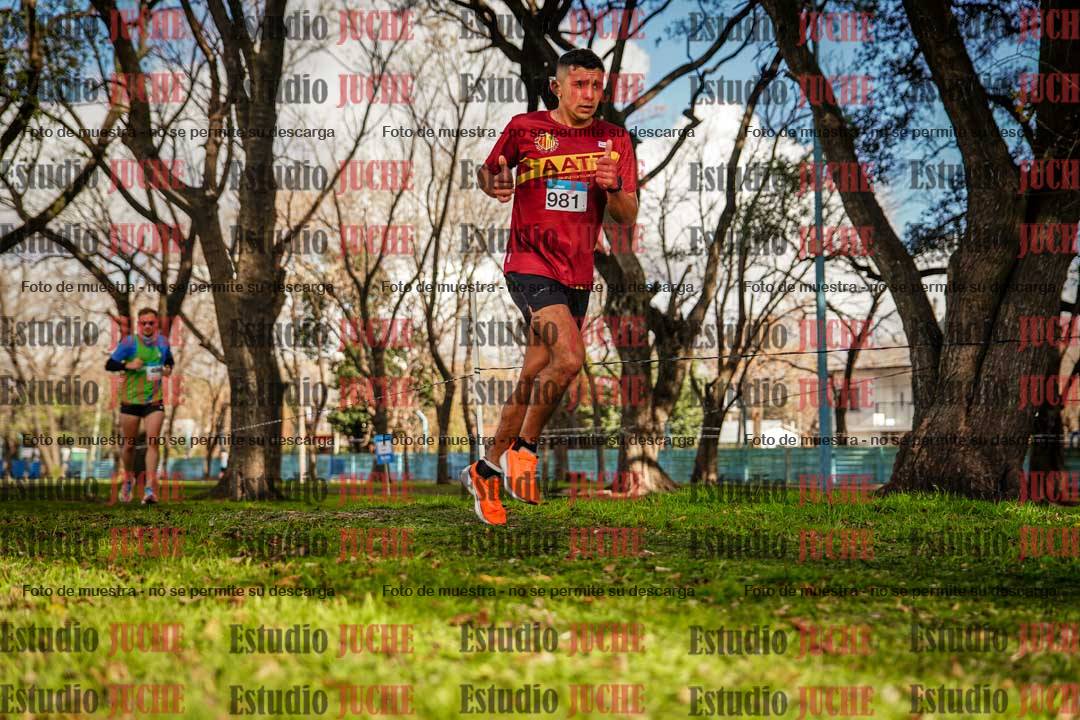 Fotos en el circuito
