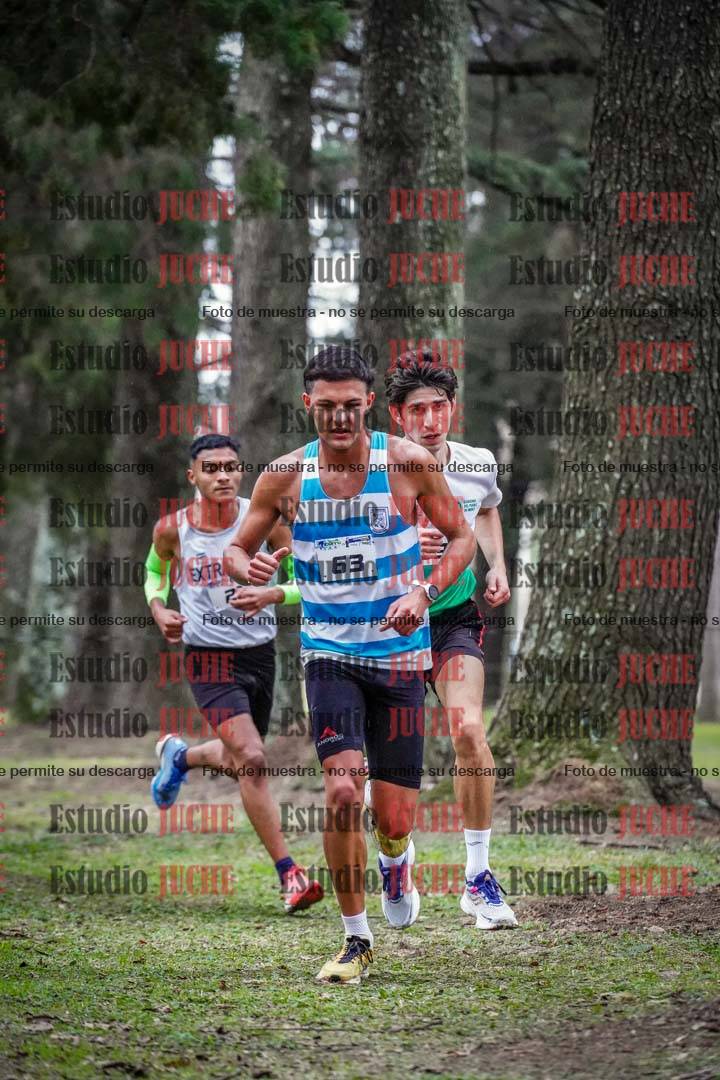 Fotos en el circuito