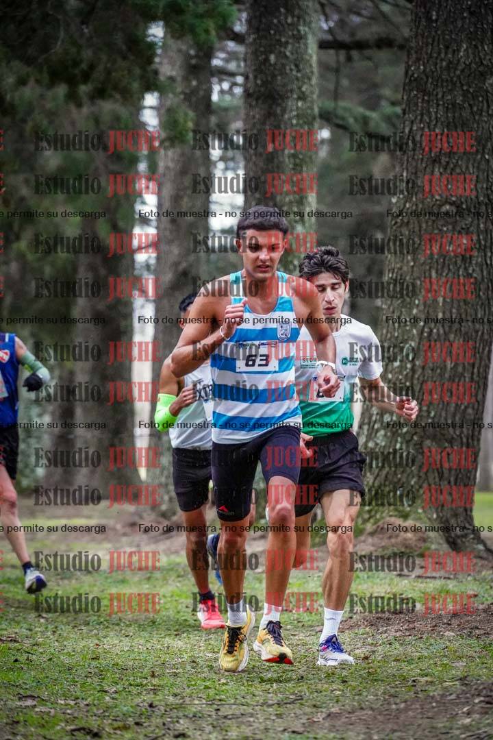 Fotos en el circuito