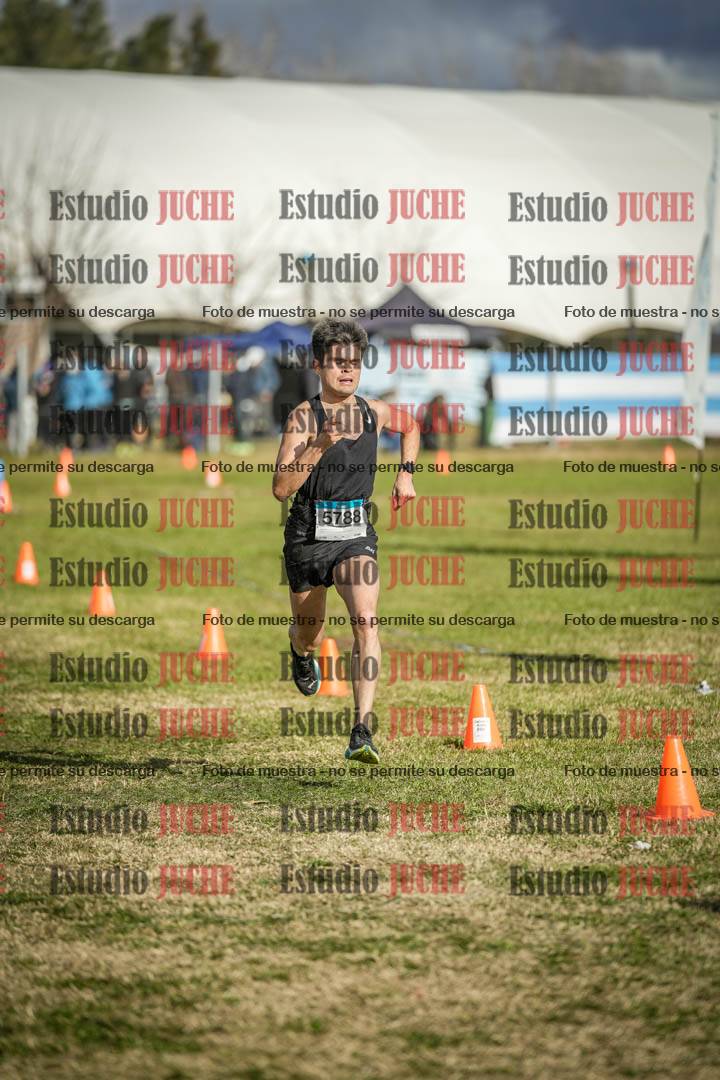 Fotos de las llegadas