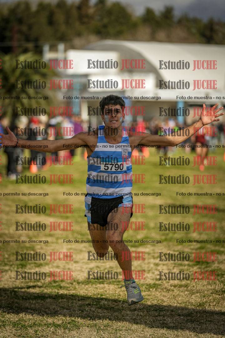 Fotos de las llegadas