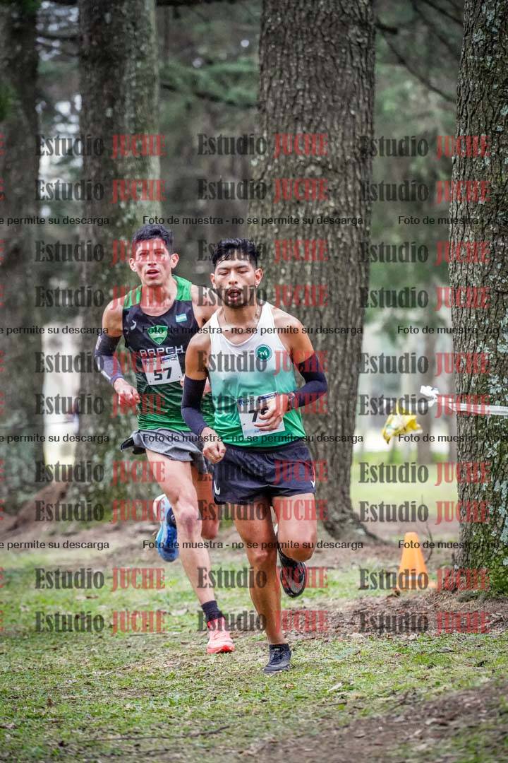 Fotos en el circuito