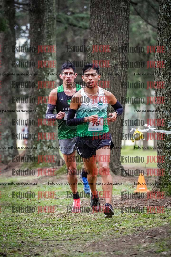 Fotos en el circuito