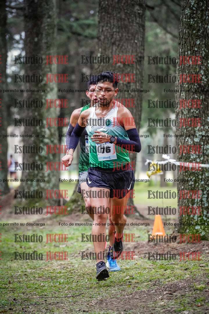 Fotos en el circuito