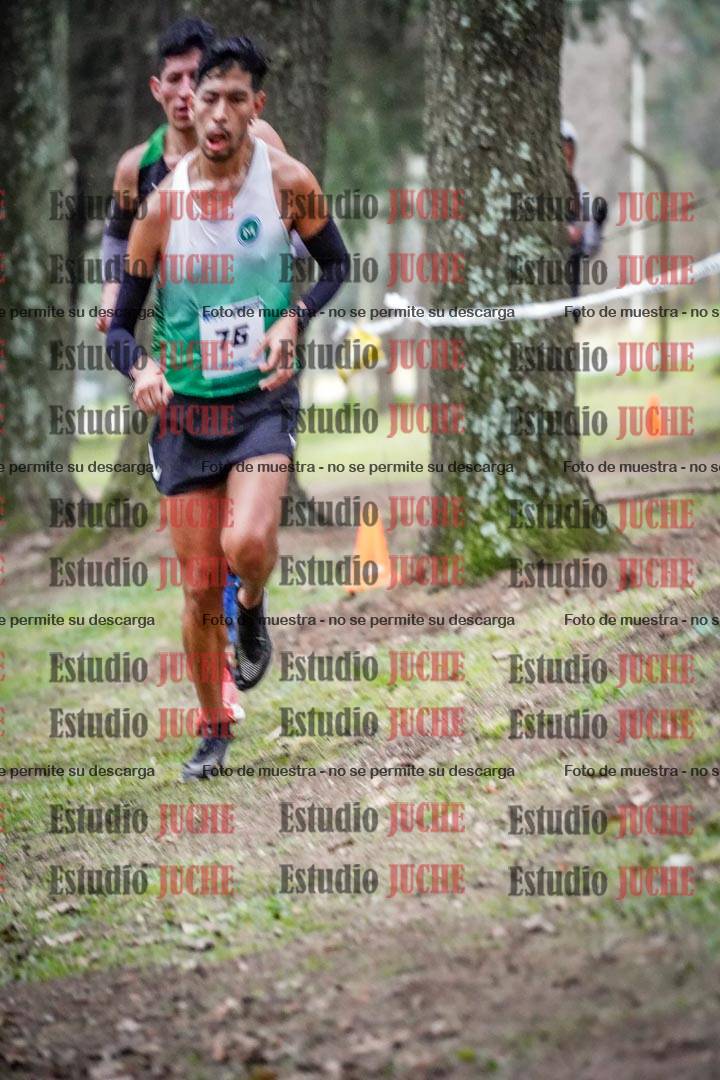 Fotos en el circuito