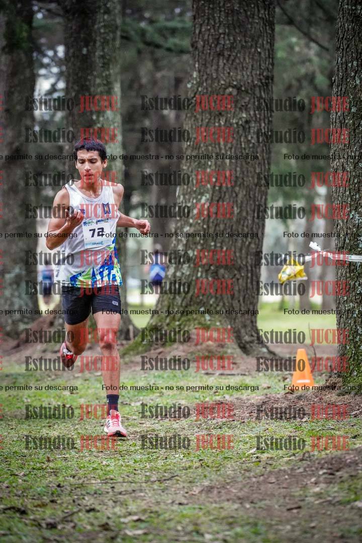 Fotos en el circuito