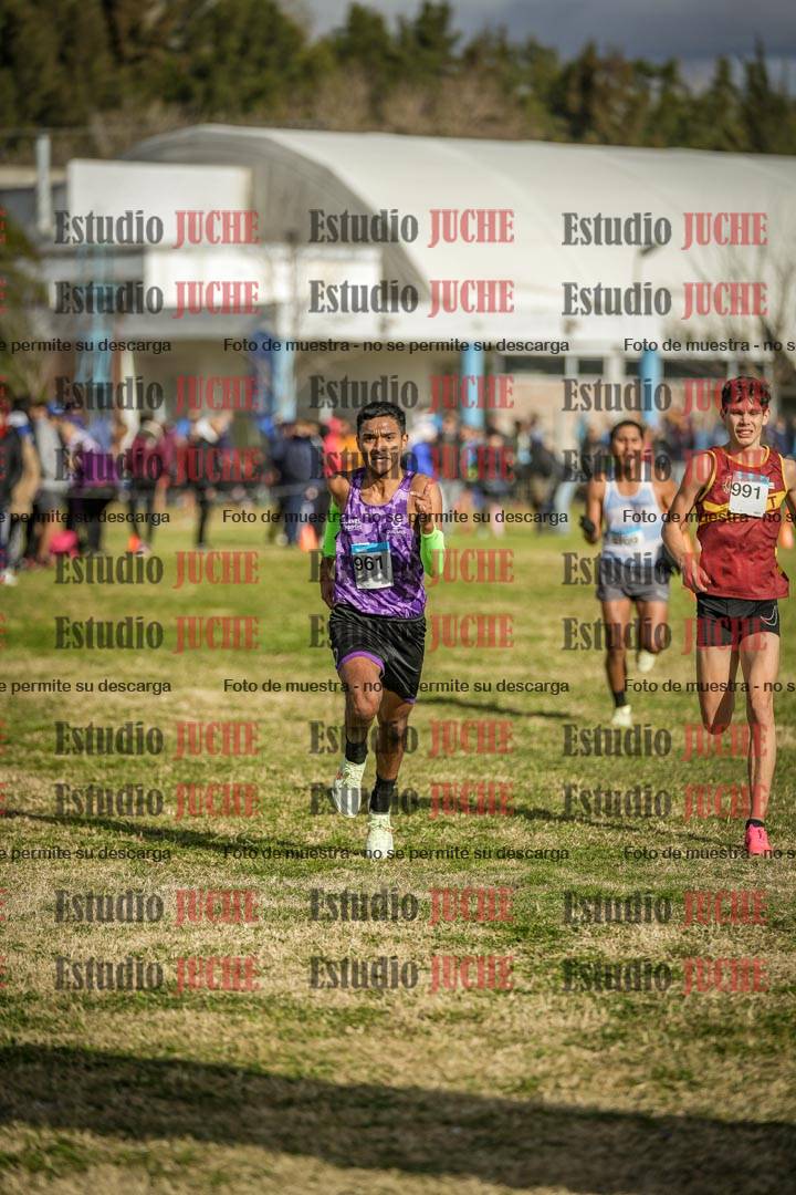 Fotos de las llegadas