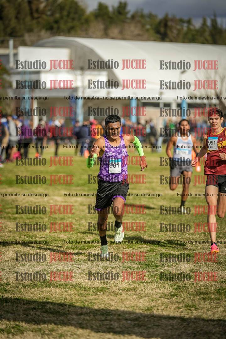 Fotos de las llegadas