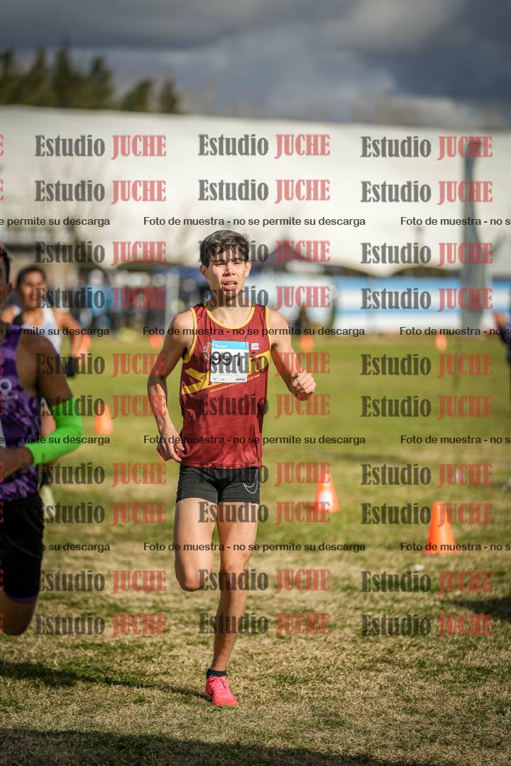 Fotos de las llegadas