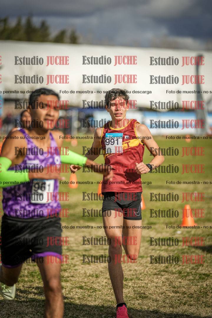 Fotos de las llegadas