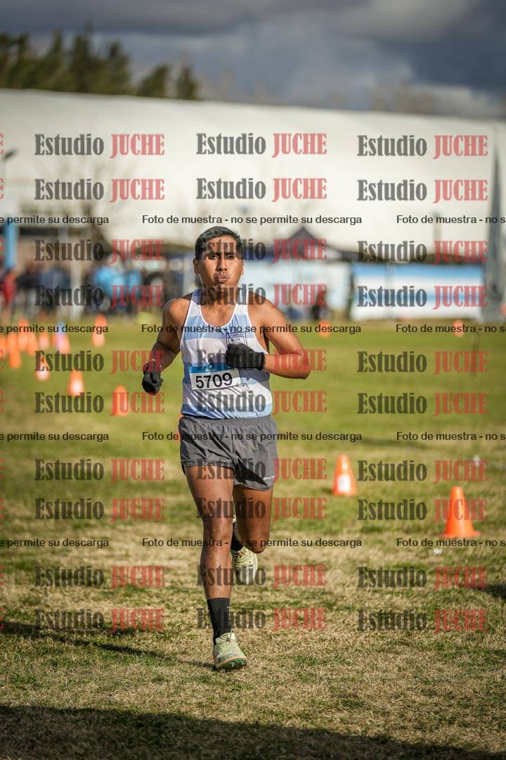 Fotos de las llegadas