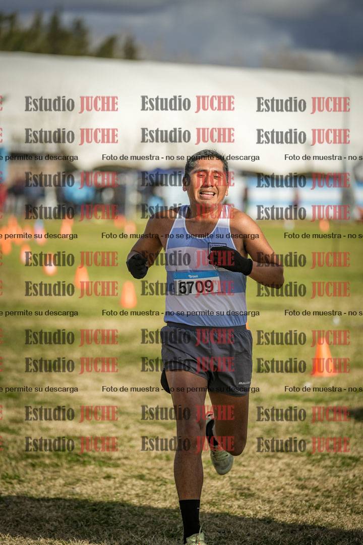 Fotos de las llegadas