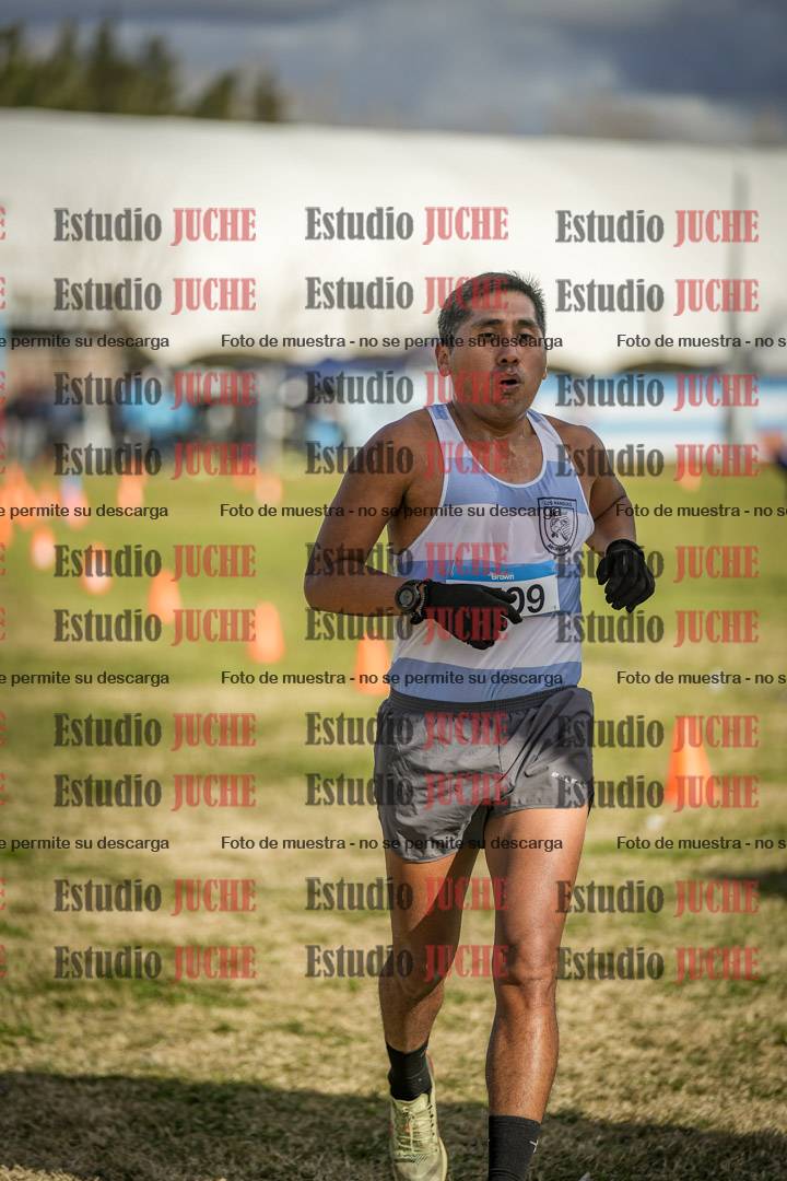 Fotos de las llegadas