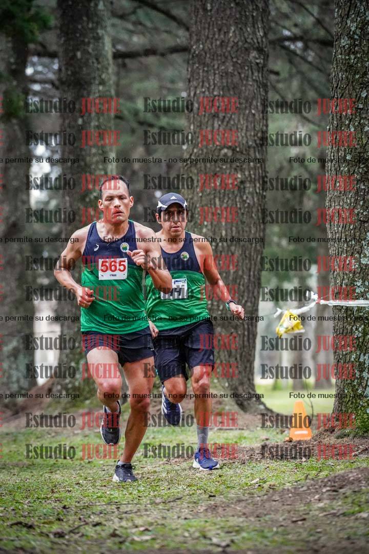 Fotos en el circuito