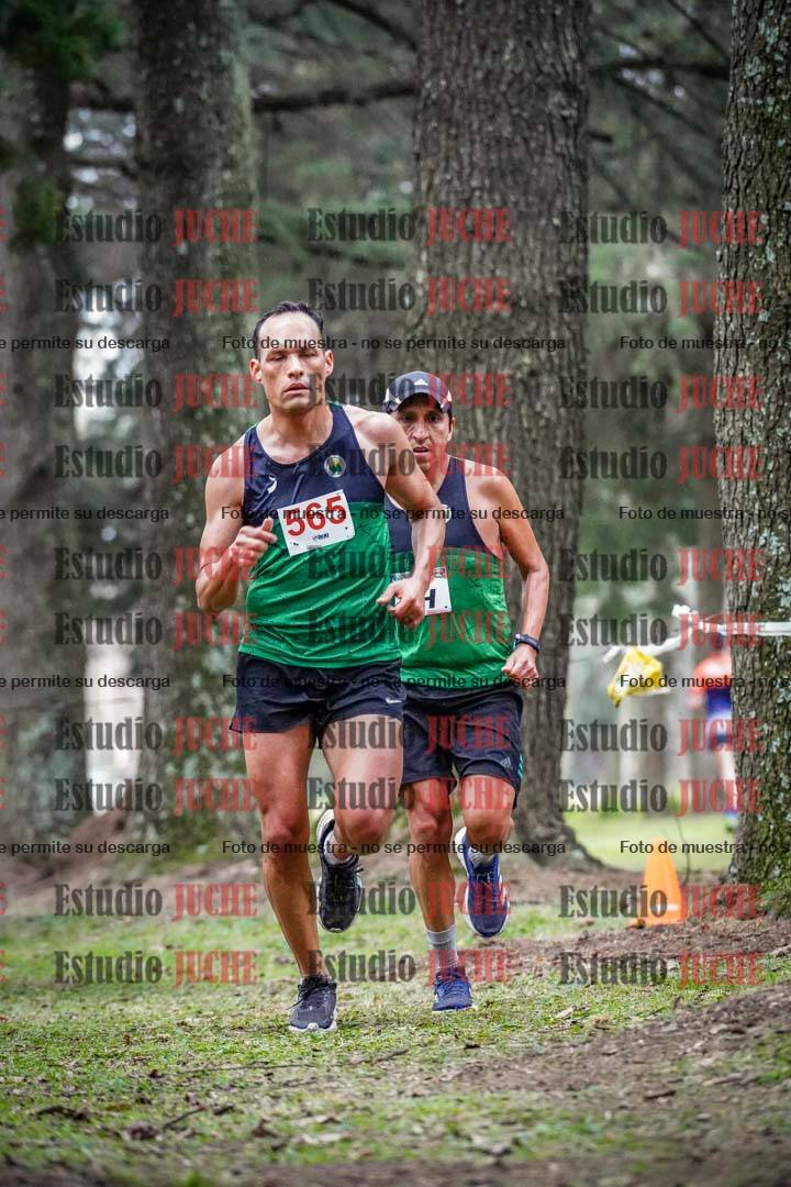 Fotos en el circuito