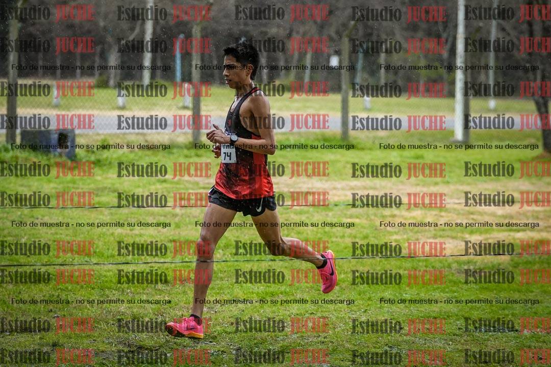Fotos en el circuito