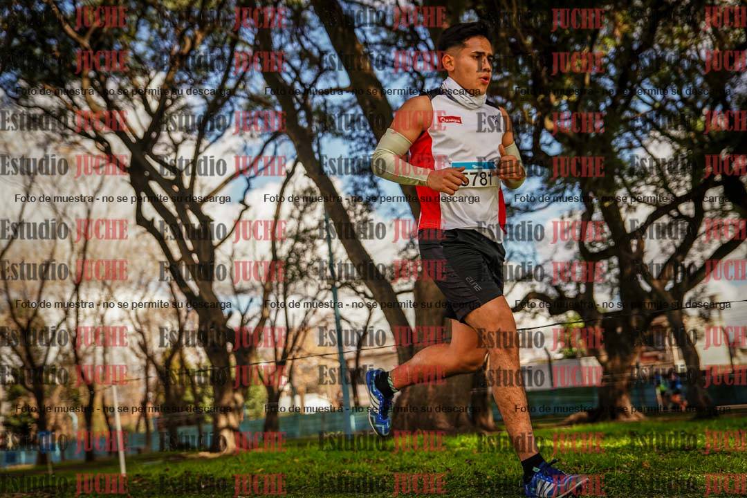 Fotos en el circuito