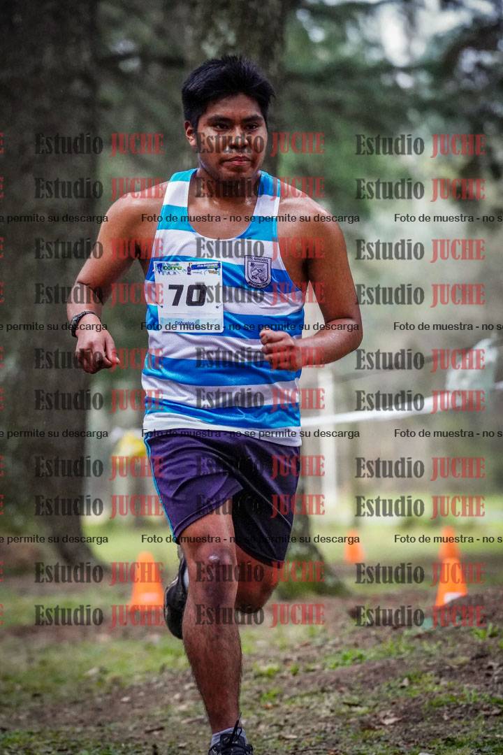 Fotos en el circuito