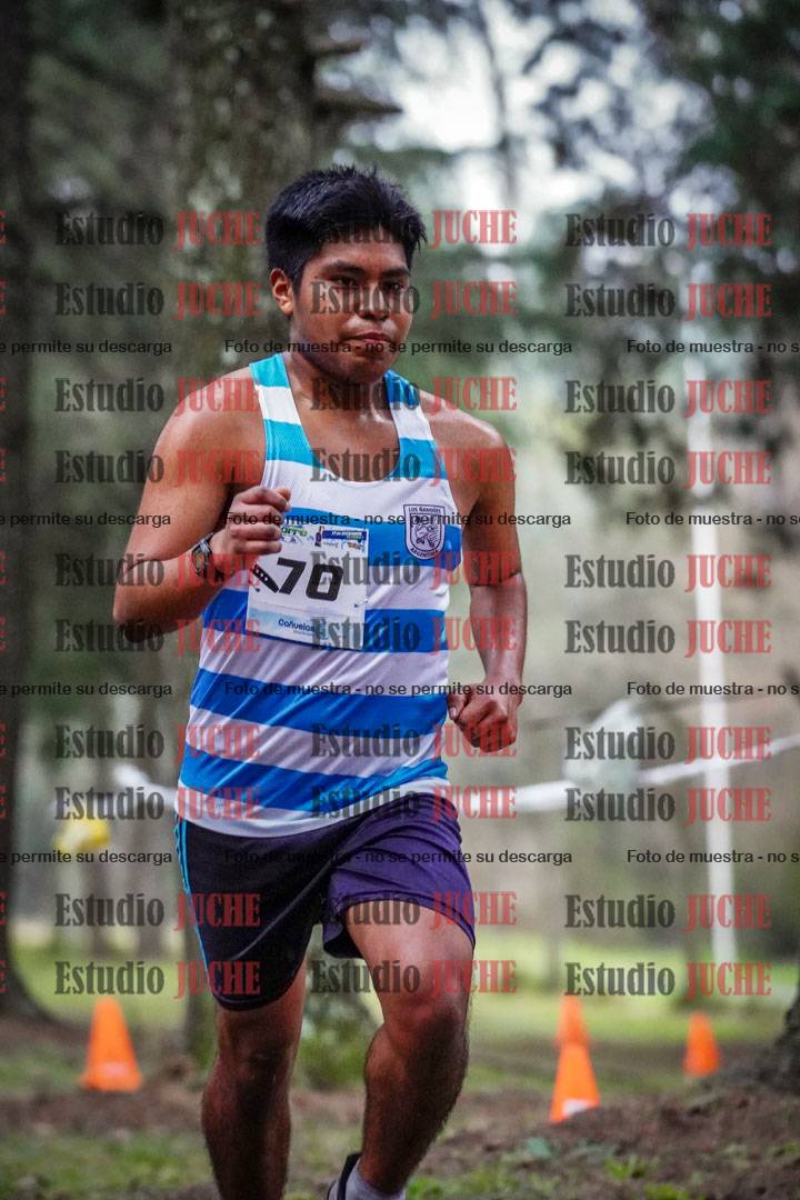 Fotos en el circuito