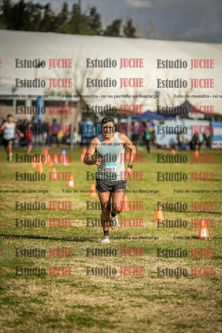 Fotos de las llegadas