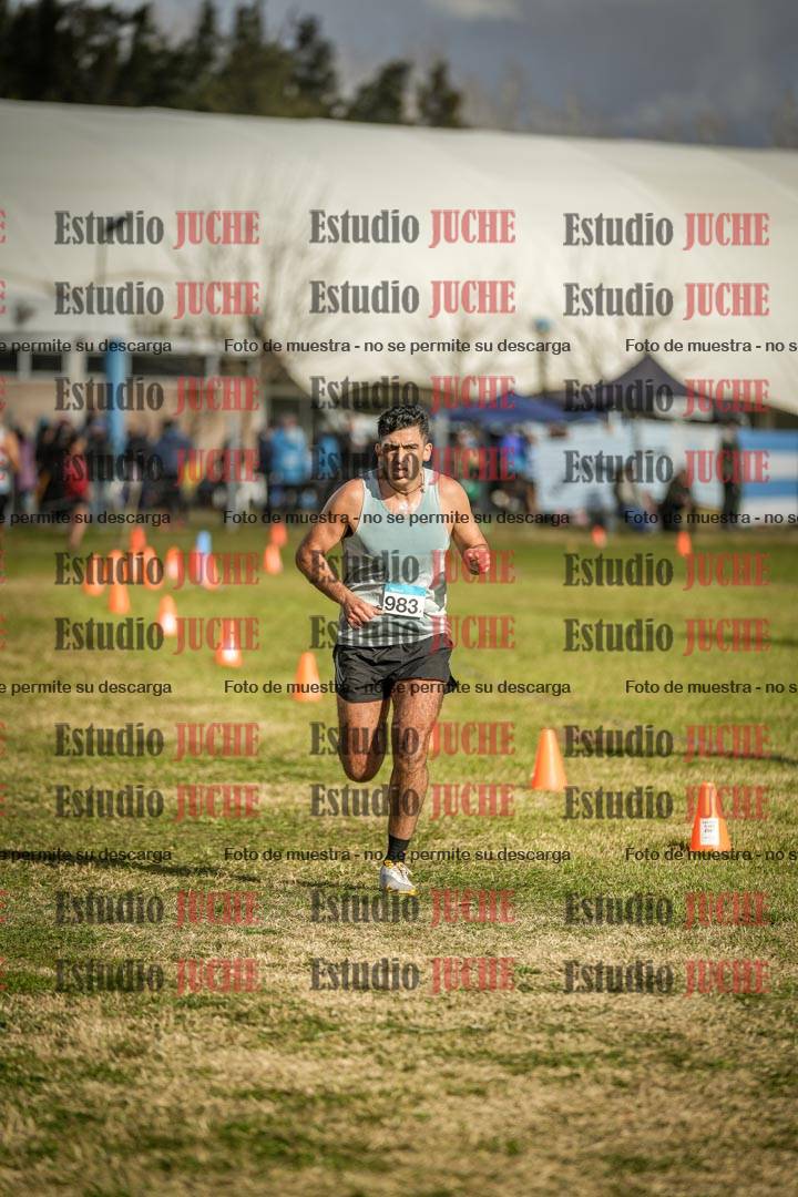 Fotos de las llegadas