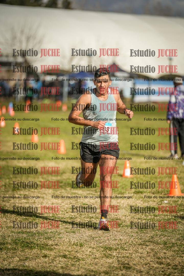 Fotos de las llegadas
