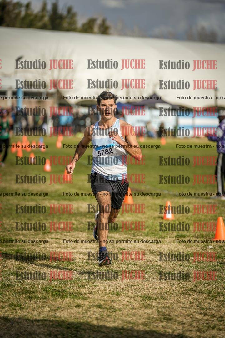 Fotos de las llegadas