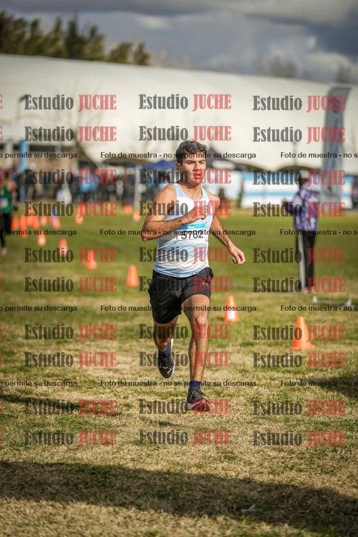 Fotos de las llegadas