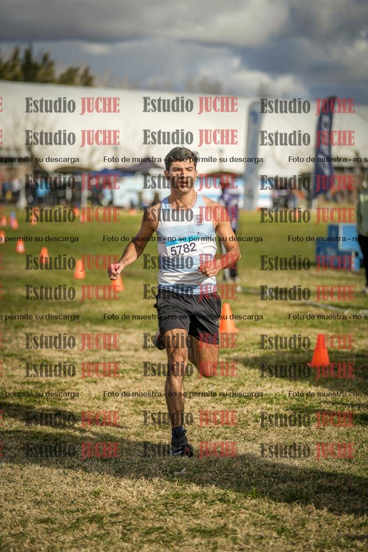Fotos de las llegadas