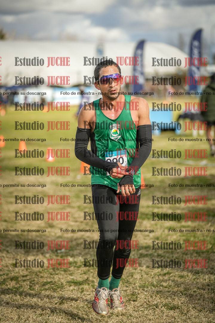 Fotos de las llegadas