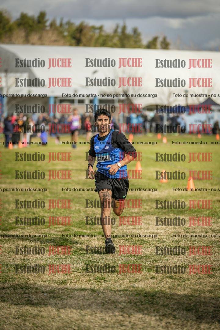 Fotos de las llegadas