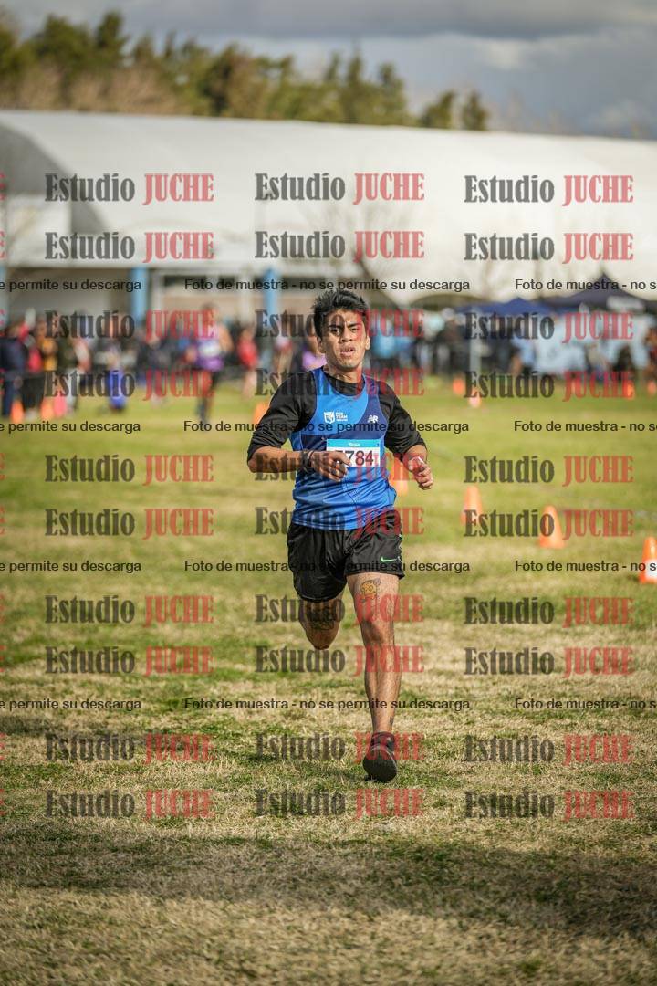 Fotos de las llegadas