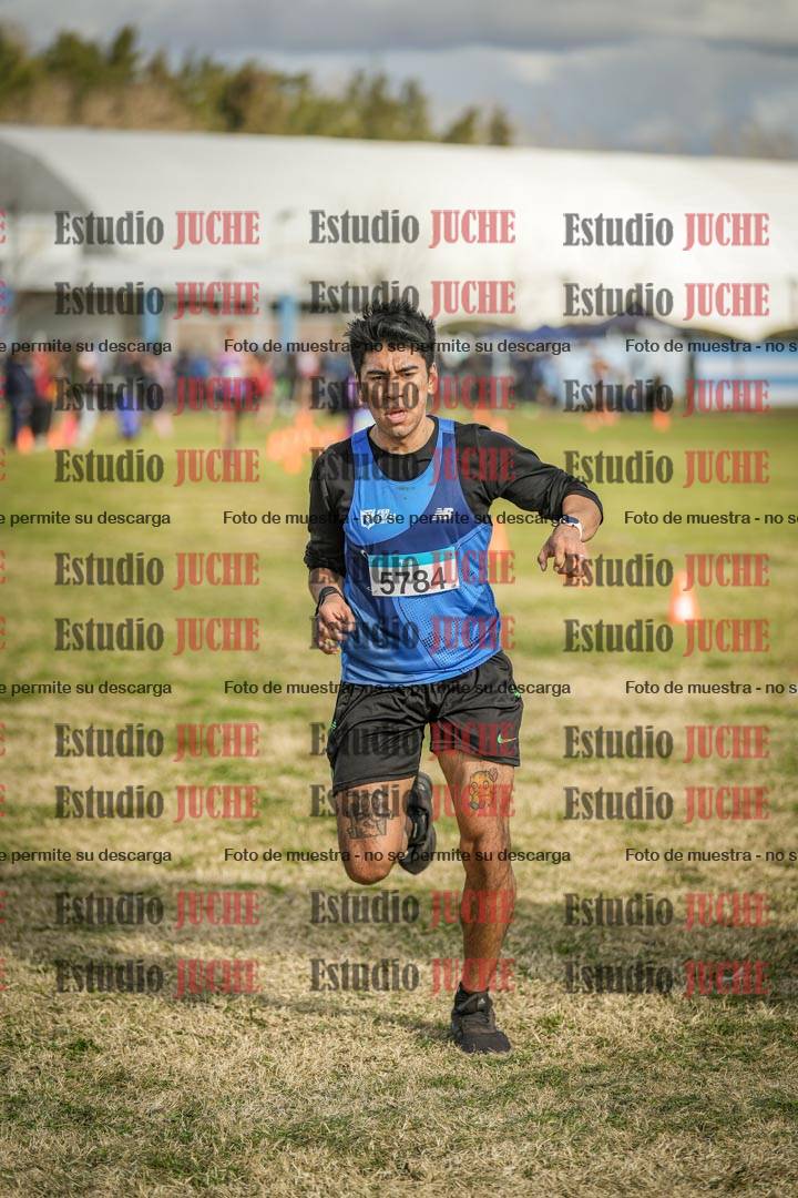 Fotos de las llegadas