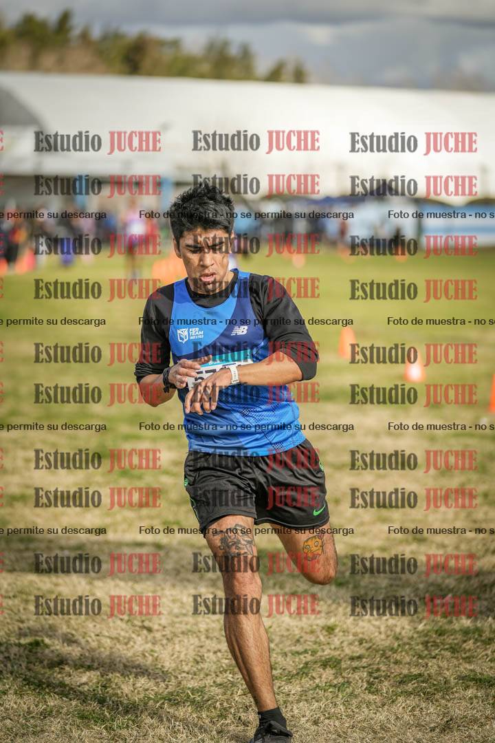 Fotos de las llegadas