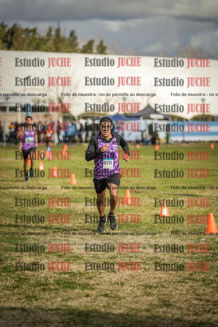 Fotos de las llegadas