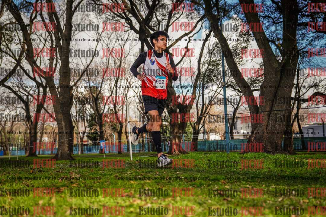 Fotos en el circuito