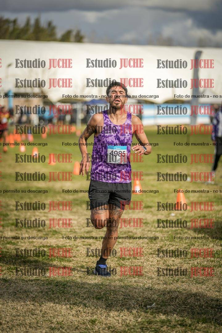 Fotos de las llegadas