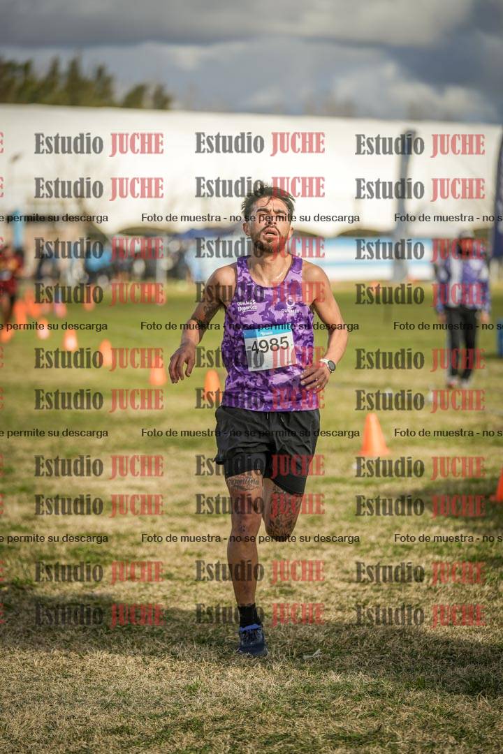 Fotos de las llegadas
