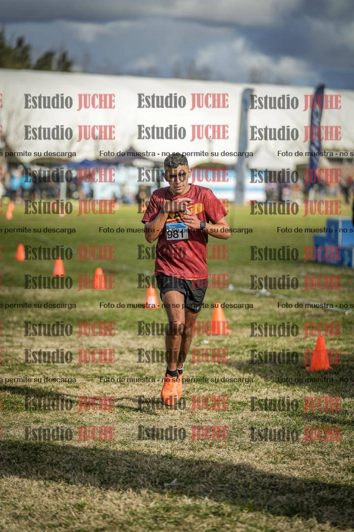 Fotos de las llegadas